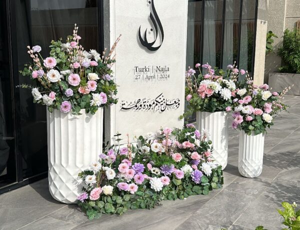 البكج الأول - ثيم أبيض